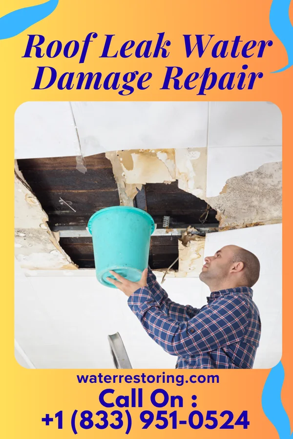 Roof Leak Water Damage Repair in Four Corners, TX
