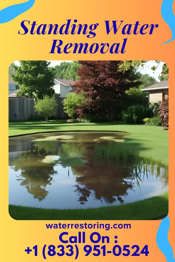 Standing Water Removal in Four Corners, TX